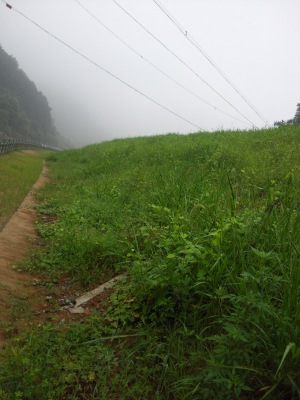 邵武市同清溪右岸生態(tài)混凝土